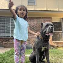 Thumbnail photo of Stella #4