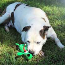 Thumbnail photo of Libby #2