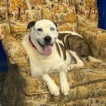 Thumbnail photo of Libby #3