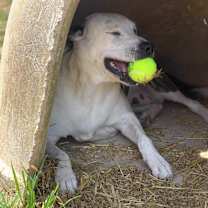 Thumbnail photo of Libby #4