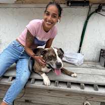 Thumbnail photo of Bodhi #4