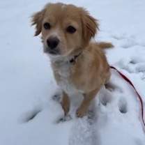 Thumbnail photo of Max #2