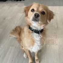 Thumbnail photo of Max #4