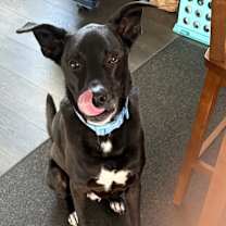 Thumbnail photo of Jett #1