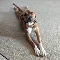 Thumbnail photo of Elle Woods #2