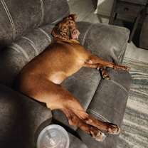 Thumbnail photo of Zumba #1