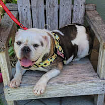 Thumbnail photo of Joy #2