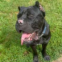 Thumbnail photo of Harold #2