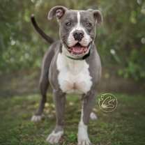 Thumbnail photo of Bru #2