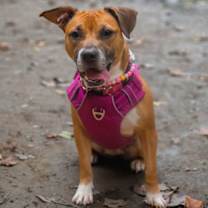 Thumbnail photo of Marnie #1