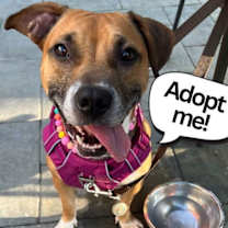 Thumbnail photo of Marnie #2