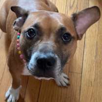 Thumbnail photo of Marnie #3