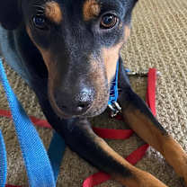 Thumbnail photo of Greta #2