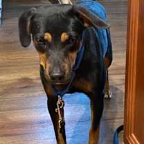 Thumbnail photo of Greta #3