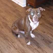 Thumbnail photo of Rico #3