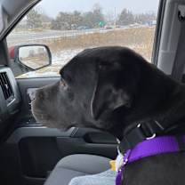 Thumbnail photo of Blake #2