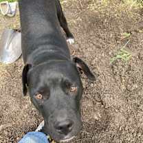 Thumbnail photo of Blake #3