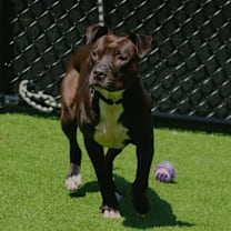 Thumbnail photo of Bingo #3