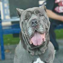 Thumbnail photo of Murdock #2