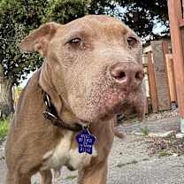 Thumbnail photo of Winifred #2