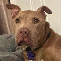 Thumbnail photo of Winifred #3