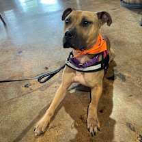 Thumbnail photo of Watson #1