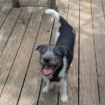 Thumbnail photo of Thelma & Louise #2