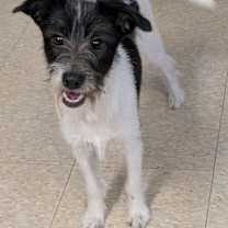 Thumbnail photo of Thelma & Louise #3