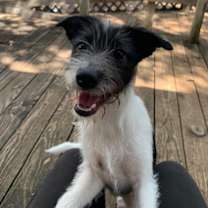 Thumbnail photo of Thelma & Louise #4