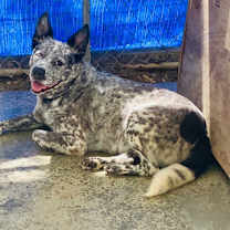 Thumbnail photo of Loretta. #1