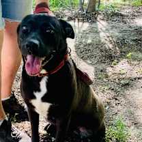 Thumbnail photo of Marie #1