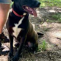 Thumbnail photo of Marie #2