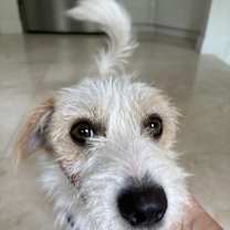 Thumbnail photo of Frosty #1