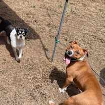 Thumbnail photo of 386 #4