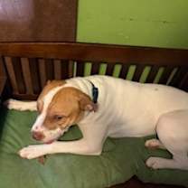 Thumbnail photo of Buford  #1