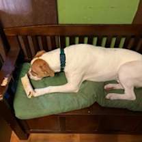 Thumbnail photo of Buford  #2