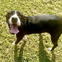 Thumbnail photo of Haley #4