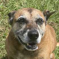 Thumbnail photo of Sals #1