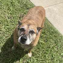 Thumbnail photo of Sals #2