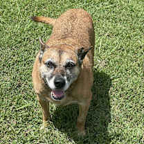 Thumbnail photo of Sals #3