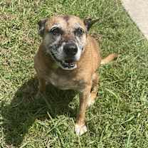 Thumbnail photo of Sals #4