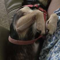 Thumbnail photo of Hayes #2