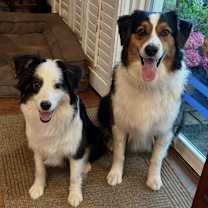 Thumbnail photo of Jessie #4