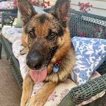 Thumbnail photo of Bruce #2