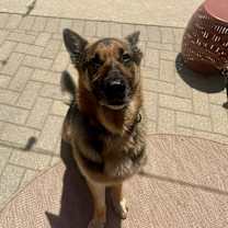 Thumbnail photo of Bruce #4