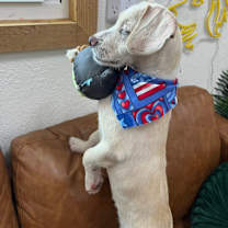 Thumbnail photo of Castiel #2