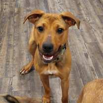 Thumbnail photo of Wrigley #3