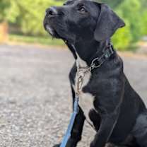 Thumbnail photo of Jack Hues #2