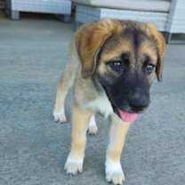 Thumbnail photo of Winnie #1