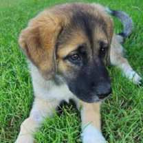 Thumbnail photo of Winnie #2